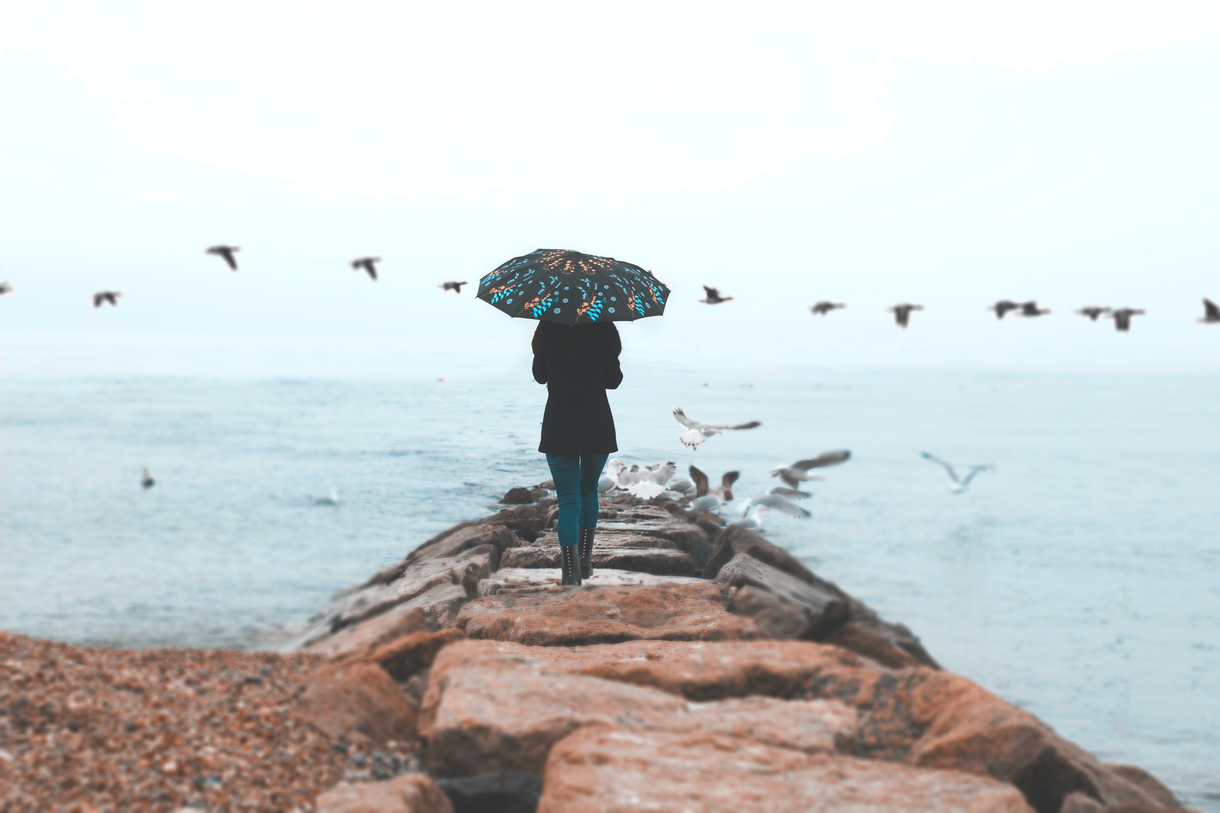woman with an umbrella walking on a beach quarry with seagulls flying