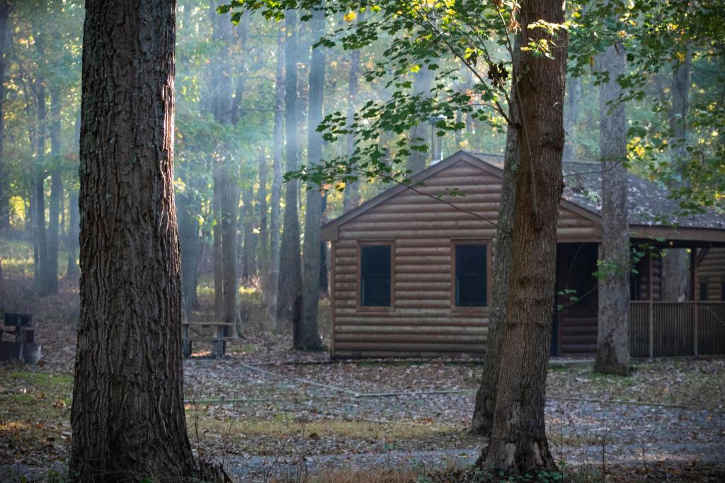 cabin in the woods in summer with trees all around