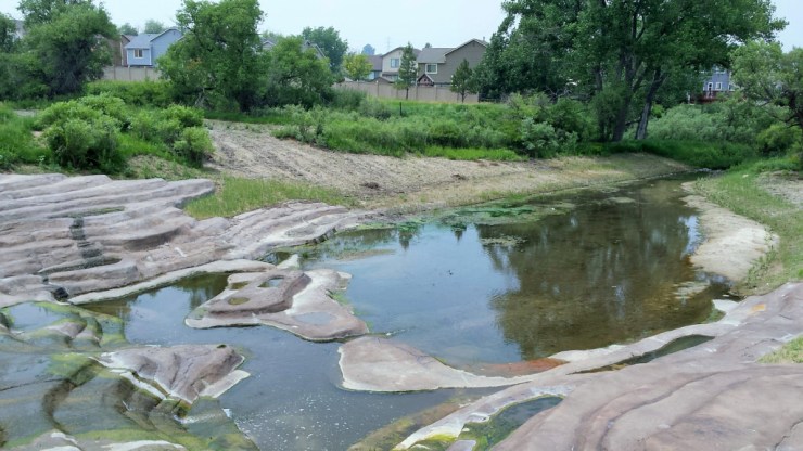 pond near a walking path
