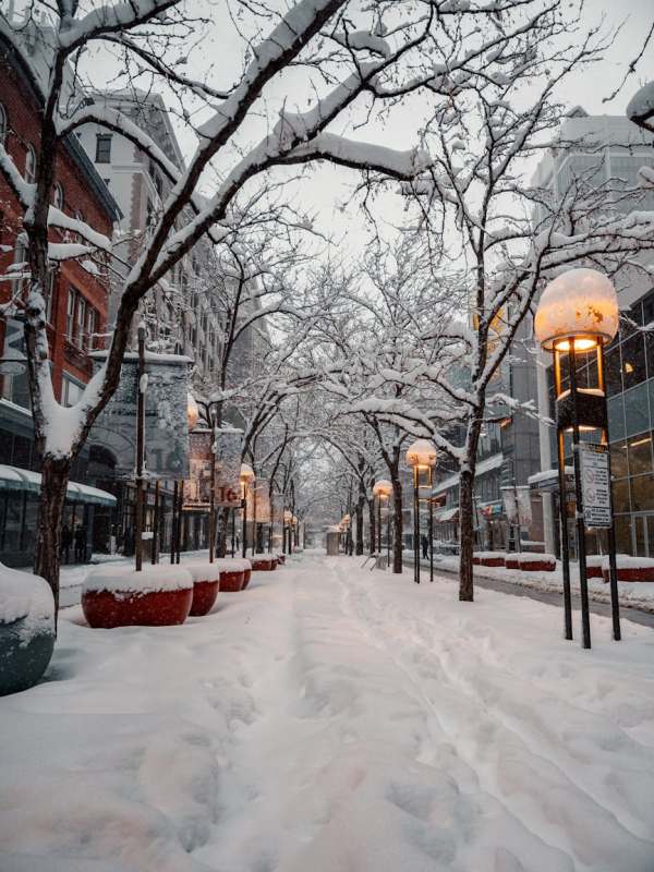 Thank You For Your Support: A Personal Recap of&nbsp;2025